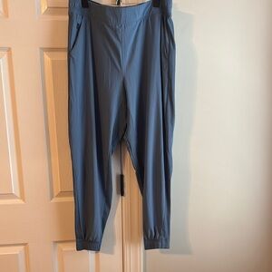 Athleta Women’s Blue Brooklyn Jogger Pants
